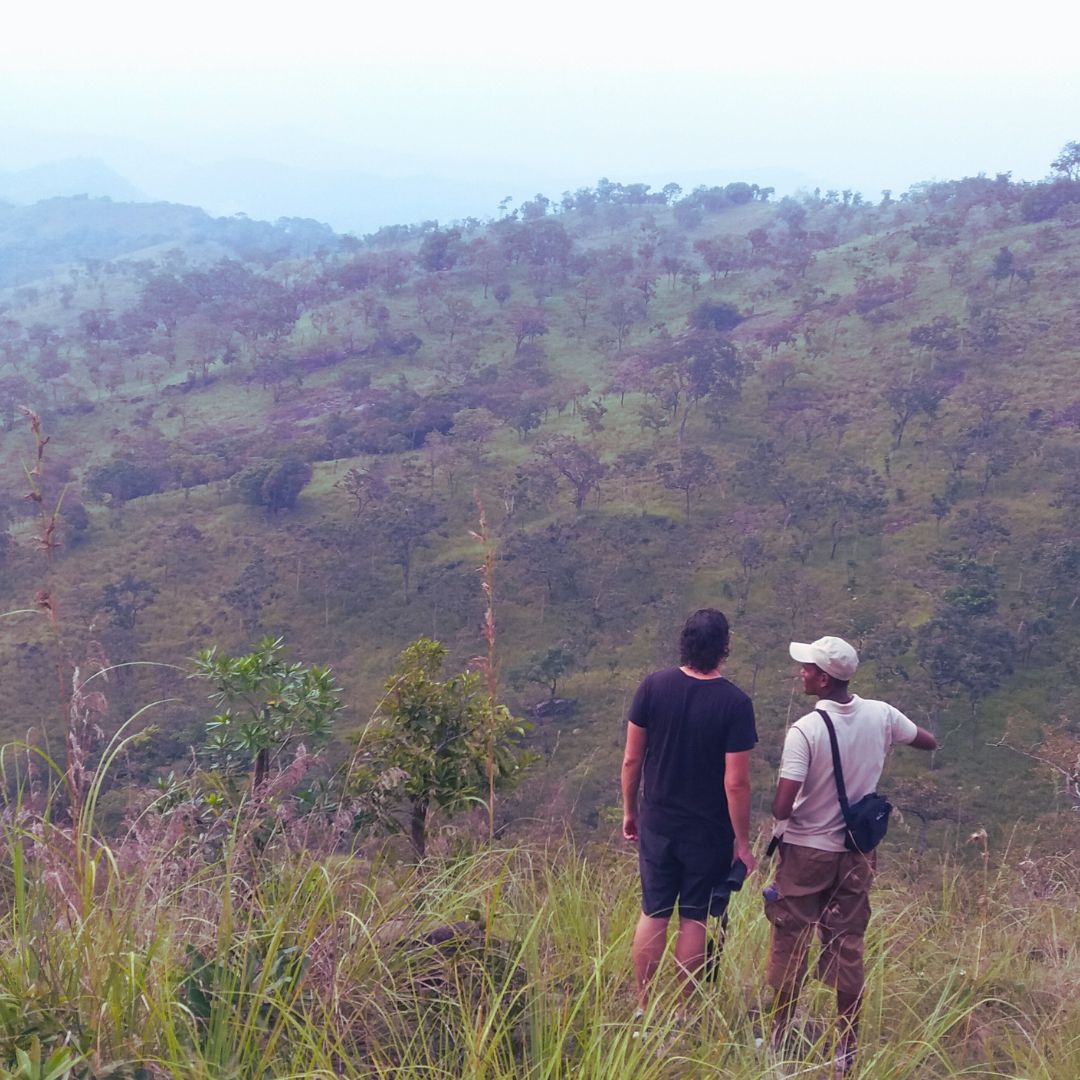 Bush walks at ahaspokuna