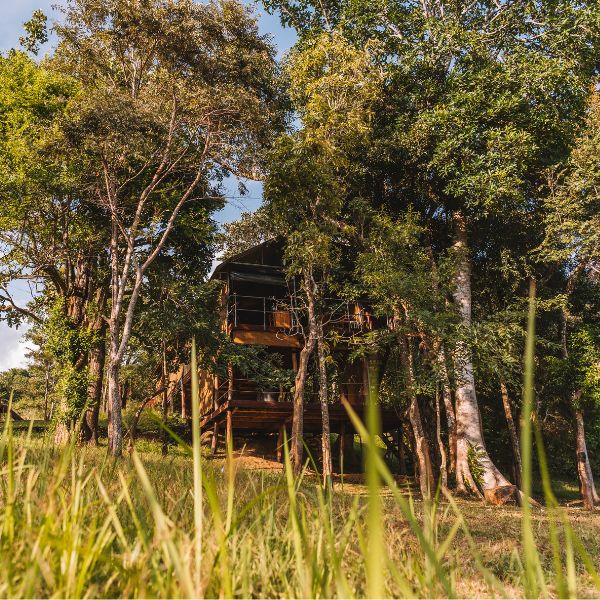 Glamping lodge at ahapokuna