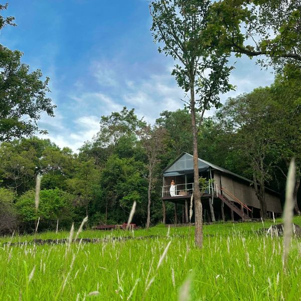 Glamping lodge at ahapokuna
