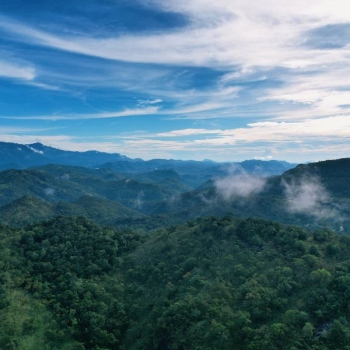 From Misty Mornings to Mountain Cliffs