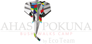 Ahaspokuna bush-walks camps Sri Lanka