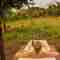 Wild bath at forest suite Ahaspokuna Glamping